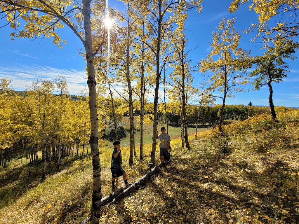 WJ Homestead Disc Golf | 258002 192 St W #10, Alberta T1S 2V3, Canada | Phone: (587) 434-7878