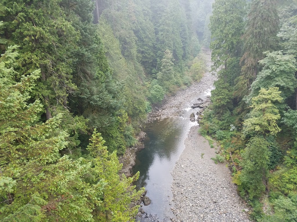 Treetops Adventure | West Vancouver, BC V7S 1J5, Canada