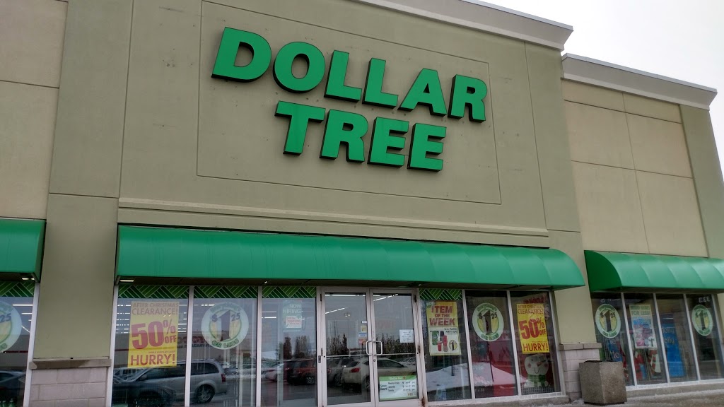 Dollar Tree | 18126 Yonge St Unit #5, East Gwillimbury, ON L9N 0J3, Canada | Phone: (905) 836-0602