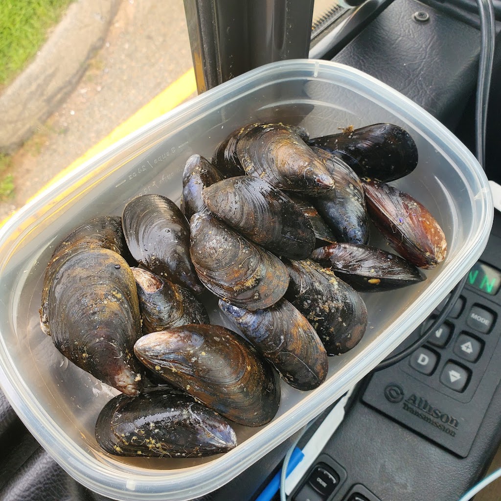 PEI Mussel King | 318 Red Head Rd, Morell, PE C0A 1S0, Canada | Phone: (902) 961-3300