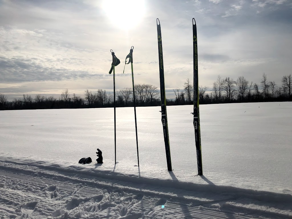 Coureurs de Boisés | 2830 Rang St Elzéar E, Laval, QC H7E 4P2, Canada | Phone: (450) 661-1766