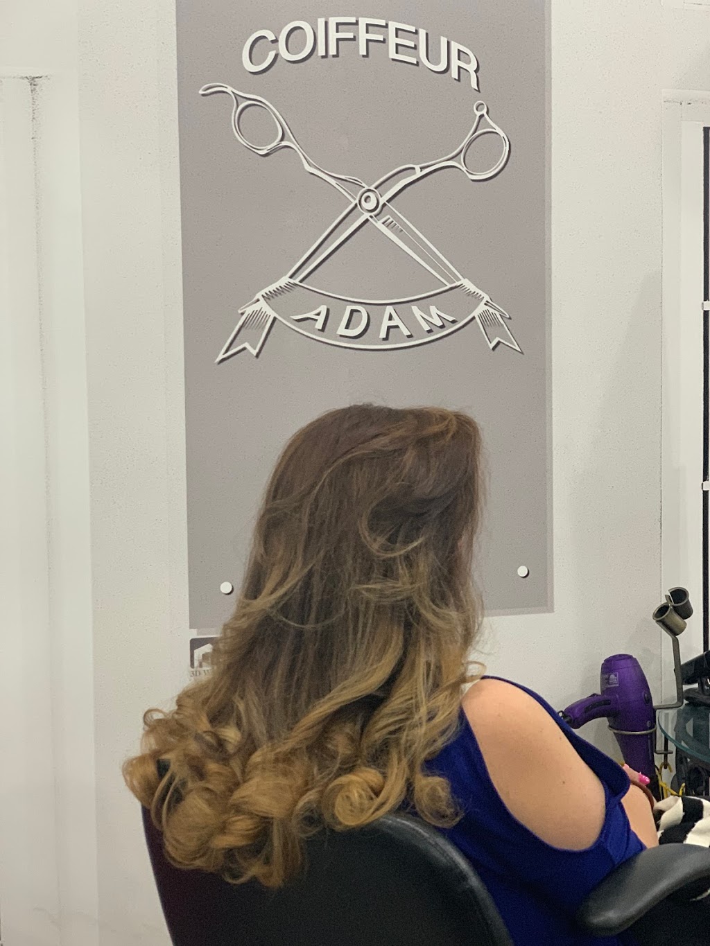 Coiffeur Adam | 817 Boulevard Décarie, Saint-Laurent, QC H4L 3L7, Canada | Phone: (514) 747-1981