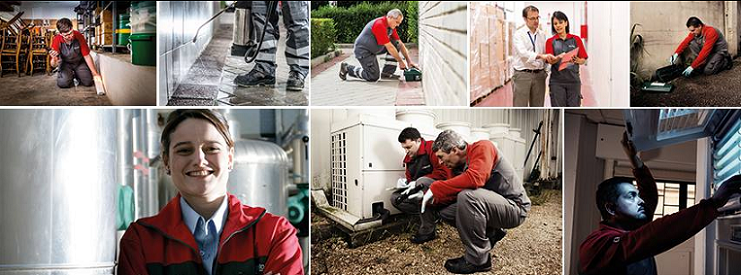 Rentokil Steritech Pest Control | 99 Locke St Unit #1, Concord, ON L4K 0J2, Canada | Phone: (905) 480-0454