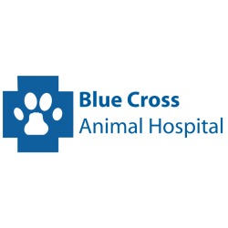Blue Cross Animal Hospital | 734 Frederick St, Kitchener, ON N2B 2B2, Canada | Phone: (866) 624-1237