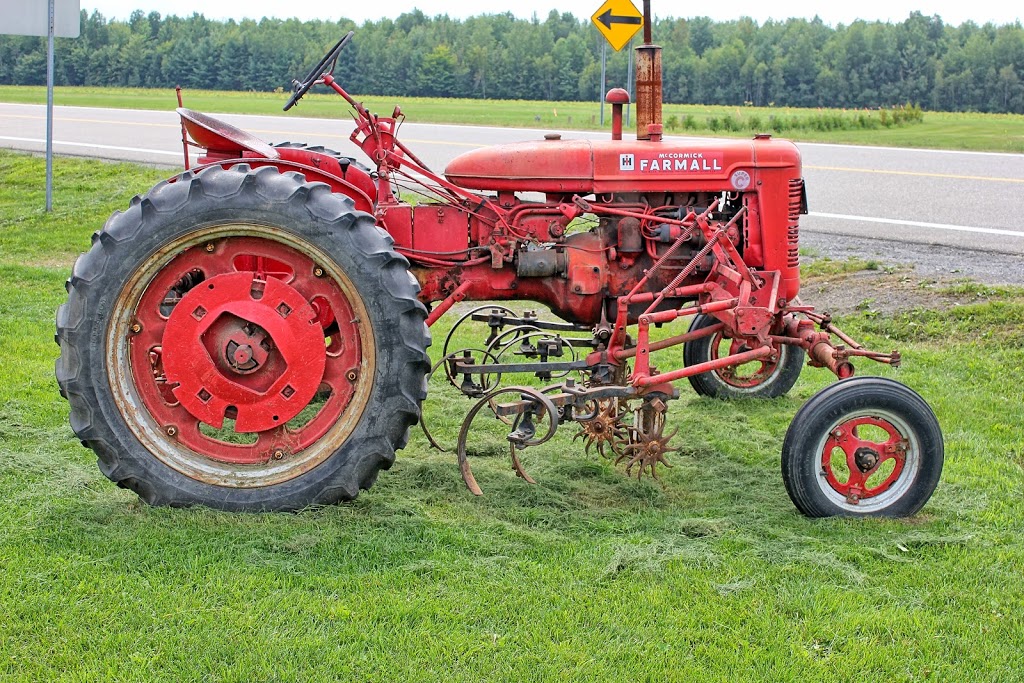 Gaétan Roy Strawberries | 1015 Chemin de Joliette, Lanoraie, QC J0K 1E0, Canada | Phone: (450) 887-0893