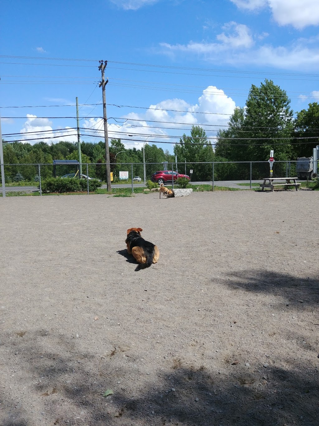 Parc Canin Côte-Saint-Louis | 122 Chemin de la Côte-Saint-Louis E, Blainville, QC J7C 5W1, Canada