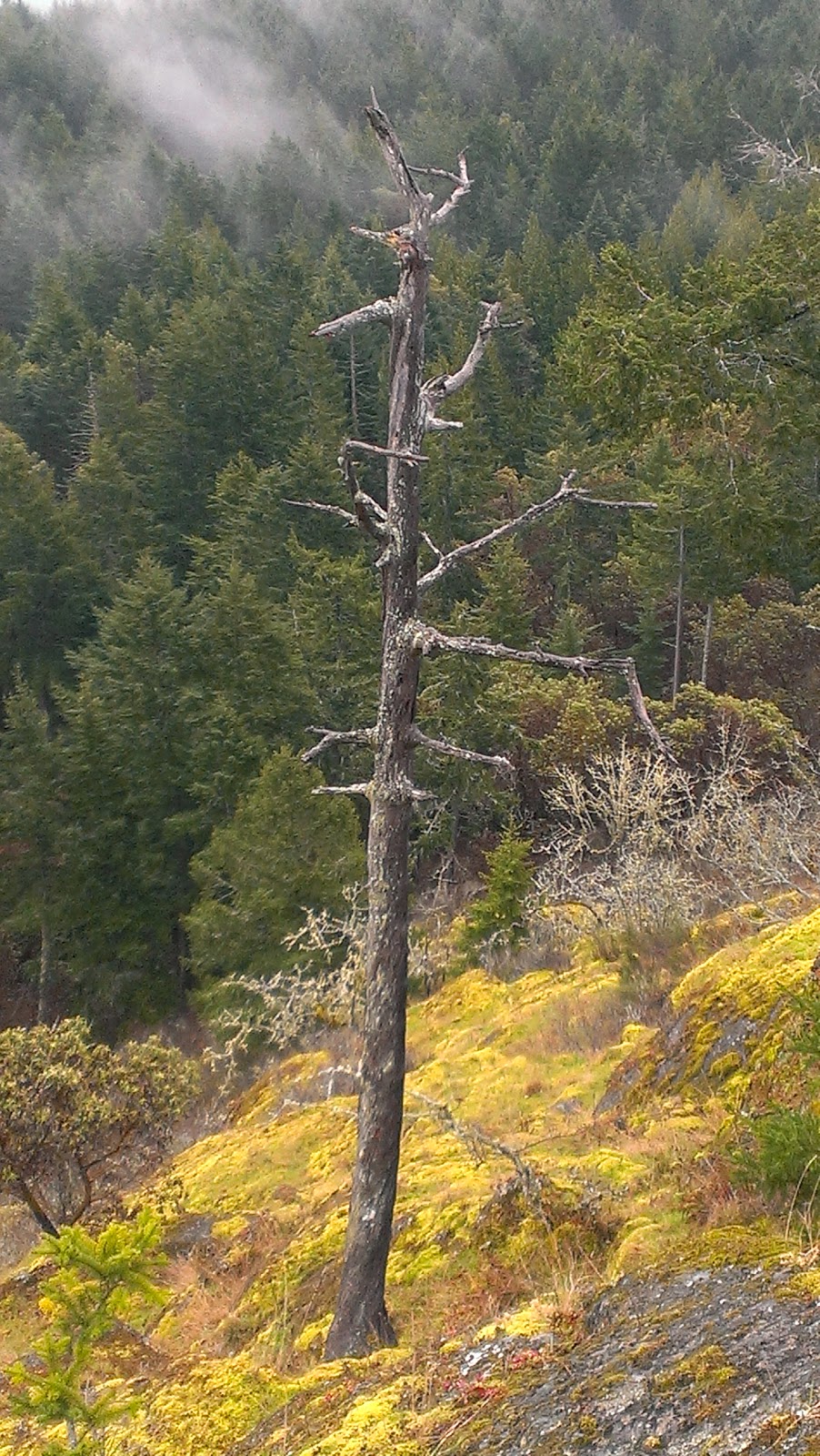 Lone Tree Hill Regional Park - Main Parking Lot | 1452 Millstream Rd, Victoria, BC V9B 6G1, Canada