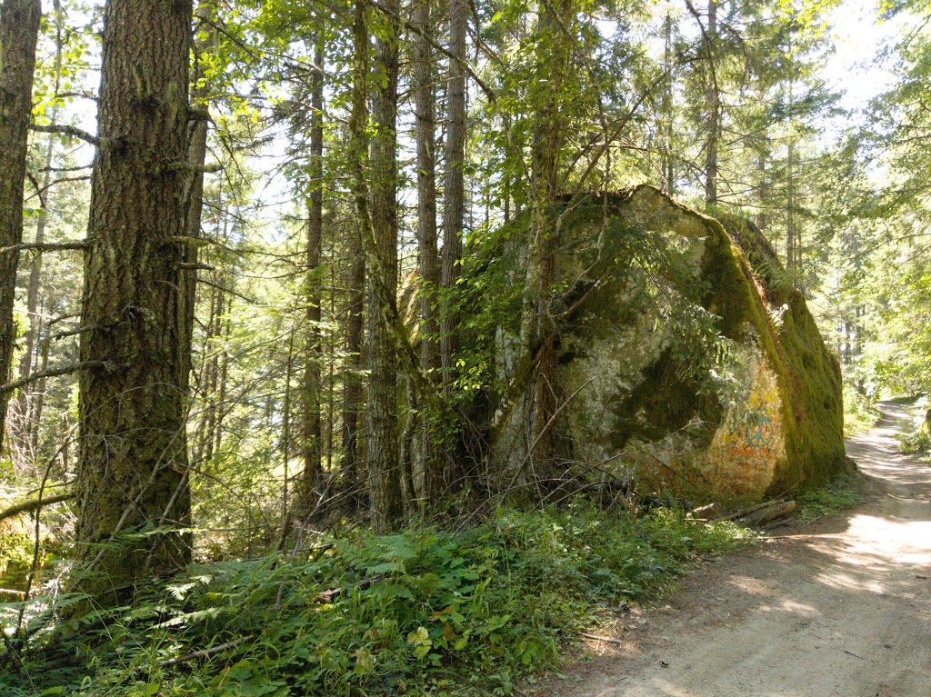 Somenos Creek Dog Park | Beverly Street Dike Trail, Duncan, BC V9L 3A3, Canada