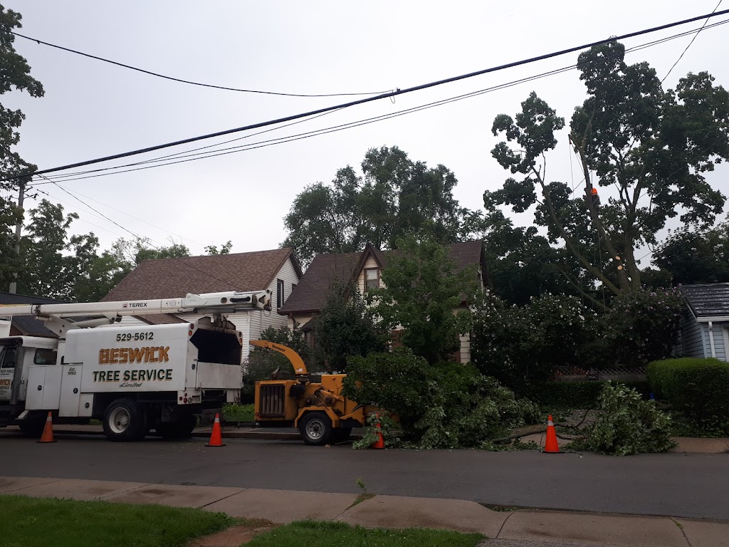 Beswick Tree Service | 418A Whitney Ave Unit C2, Hamilton, ON L8S 2H8, Canada | Phone: (905) 529-5612