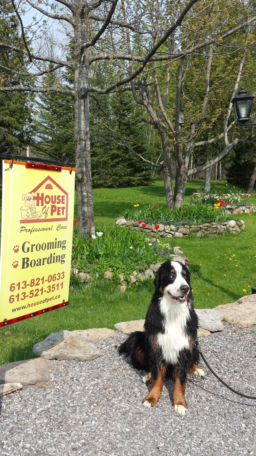 House Of Pet | 6105 Gough Rd, Manotick, ON K4M 0E2, Canada | Phone: (613) 521-3511