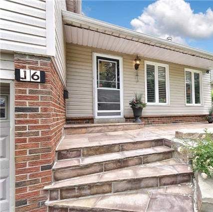 Chris Pappas | 1945 Leslie St, North York, ON M3B 2M3, Canada | Phone: (416) 383-1828