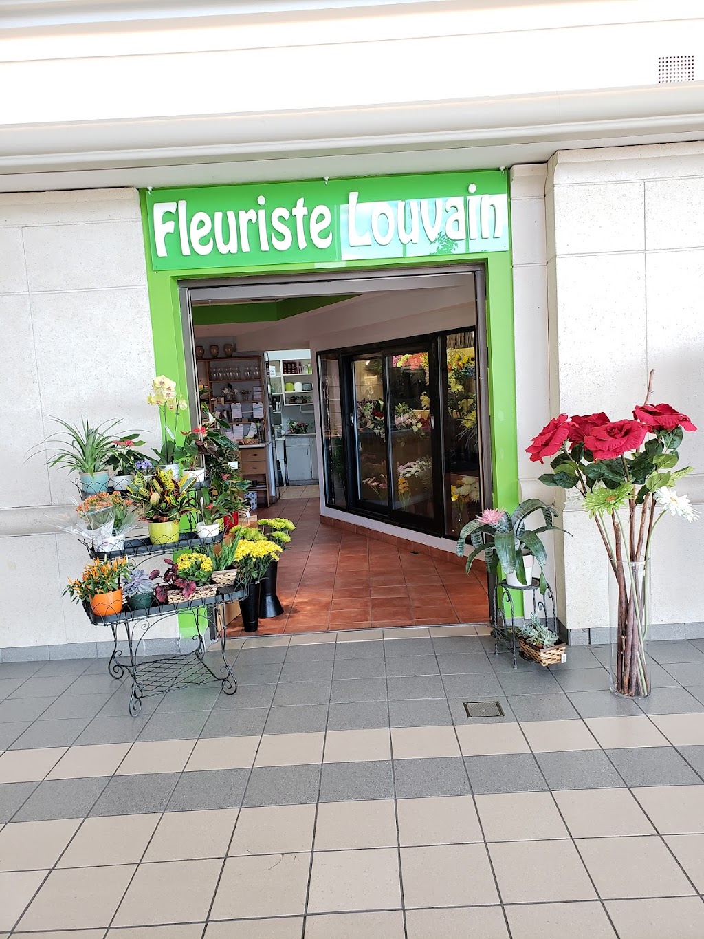 Montreenbois.ca | Marguerite Fleuriste 2117 Boulevard du Curé-Labelle, Saint-Jérôme, QC J7Y 1S9 Fleuriste Louvain 3100 Boulevard de la Concorde E #51, Laval, Quebec H7E 2B8, Saint-Jérôme, QC J7Y 1S9, Canada | Phone: (450) 820-2252