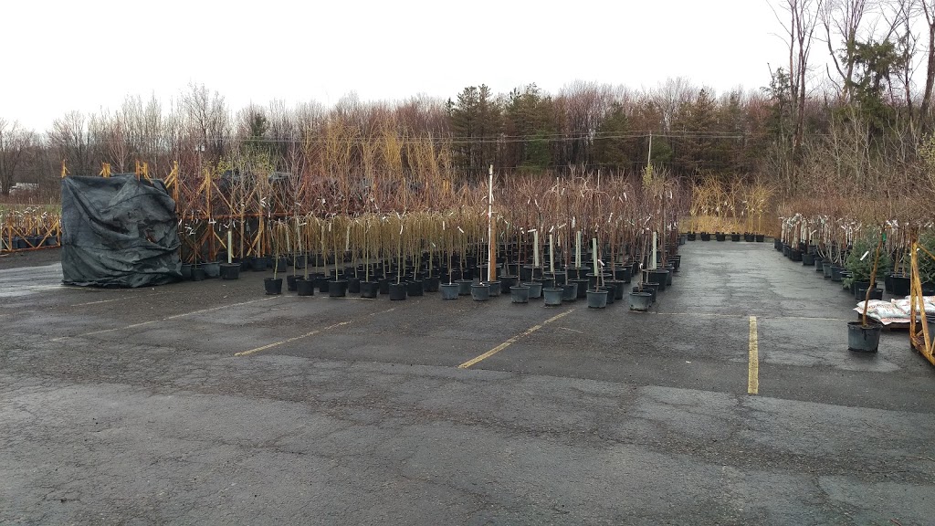 Turnbull Nursery Inc & Garden Center | 10036 Versailles Plank Rd, North Collins, NY 14111, USA | Phone: (716) 337-2248