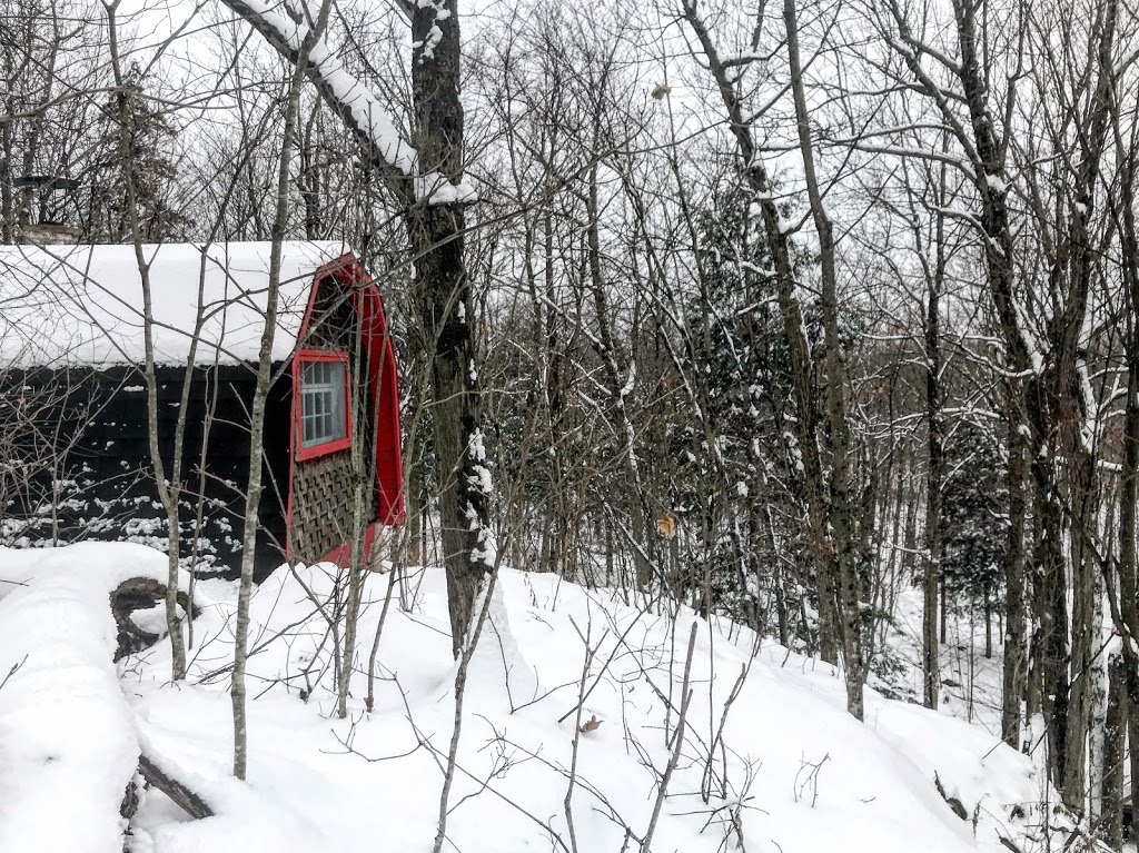 La Forêt dAslan | 751 Chemin de la Grotte, Roxton Falls, QC J0H 1E0, Canada | Phone: (514) 503-1892