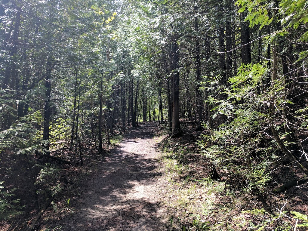 Kolapore Uplands Parking Lot | Grey Road 2, The Blue Mountains, ON N0H 2E0, Canada