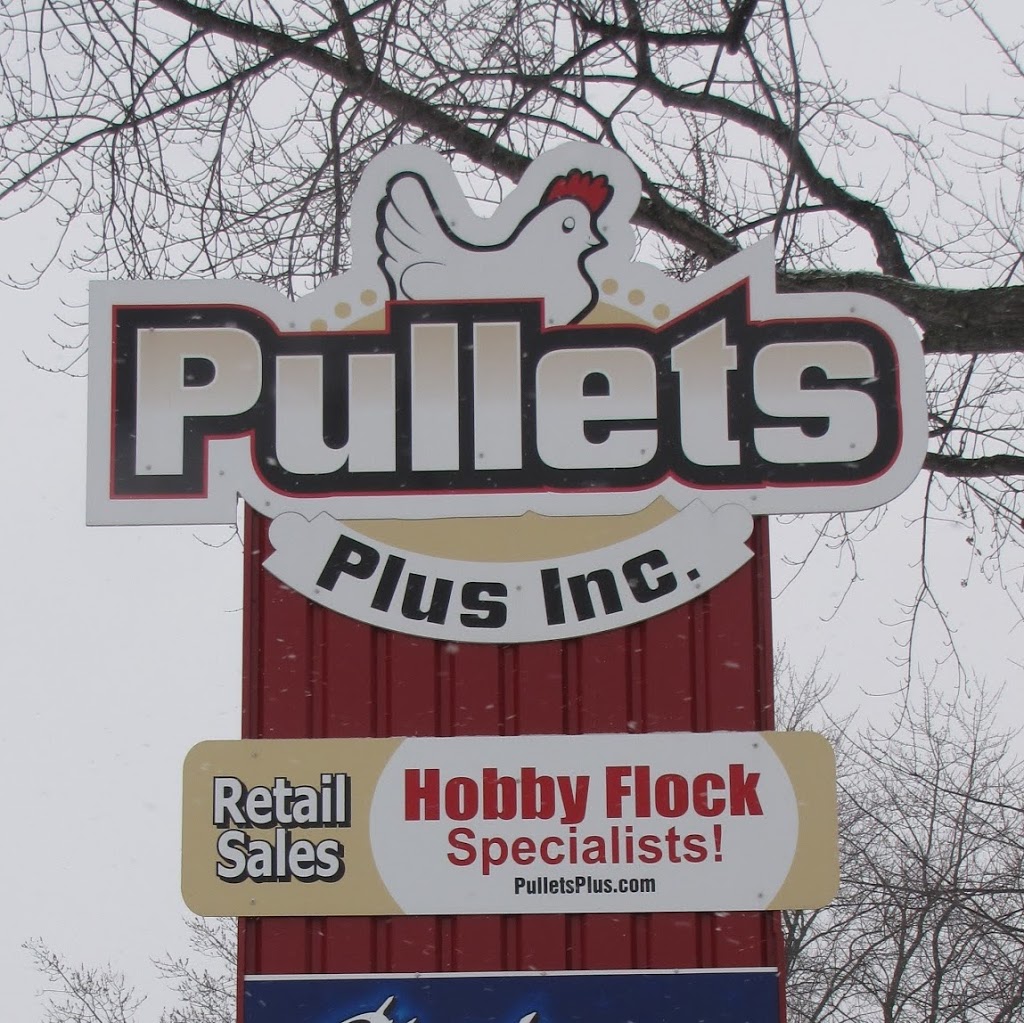 Pullets Plus Inc | 6880 Line 86, Elmira, ON N3B 2Z3, Canada | Phone: (519) 669-2225