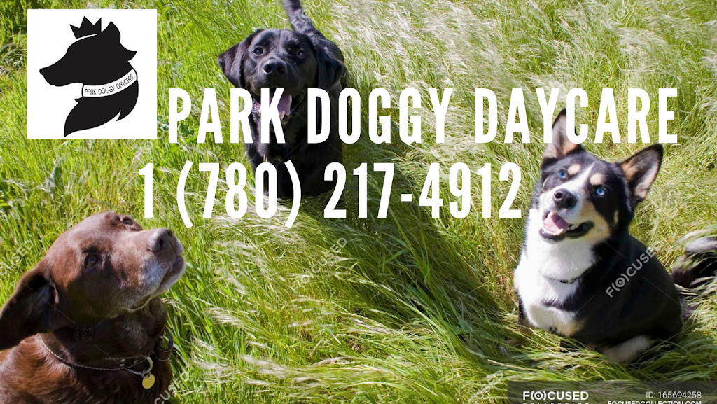 Park Doggy Daycare | 8710 15th St #120, Edmonton, AB T6P 0B9, Canada | Phone: (780) 217-4912