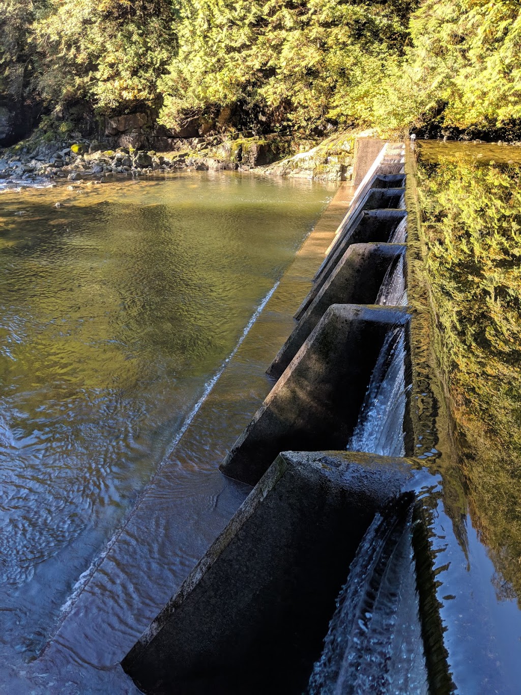 Capilano Hatchery | North Vancouver, BC V7R 4L2, Canada