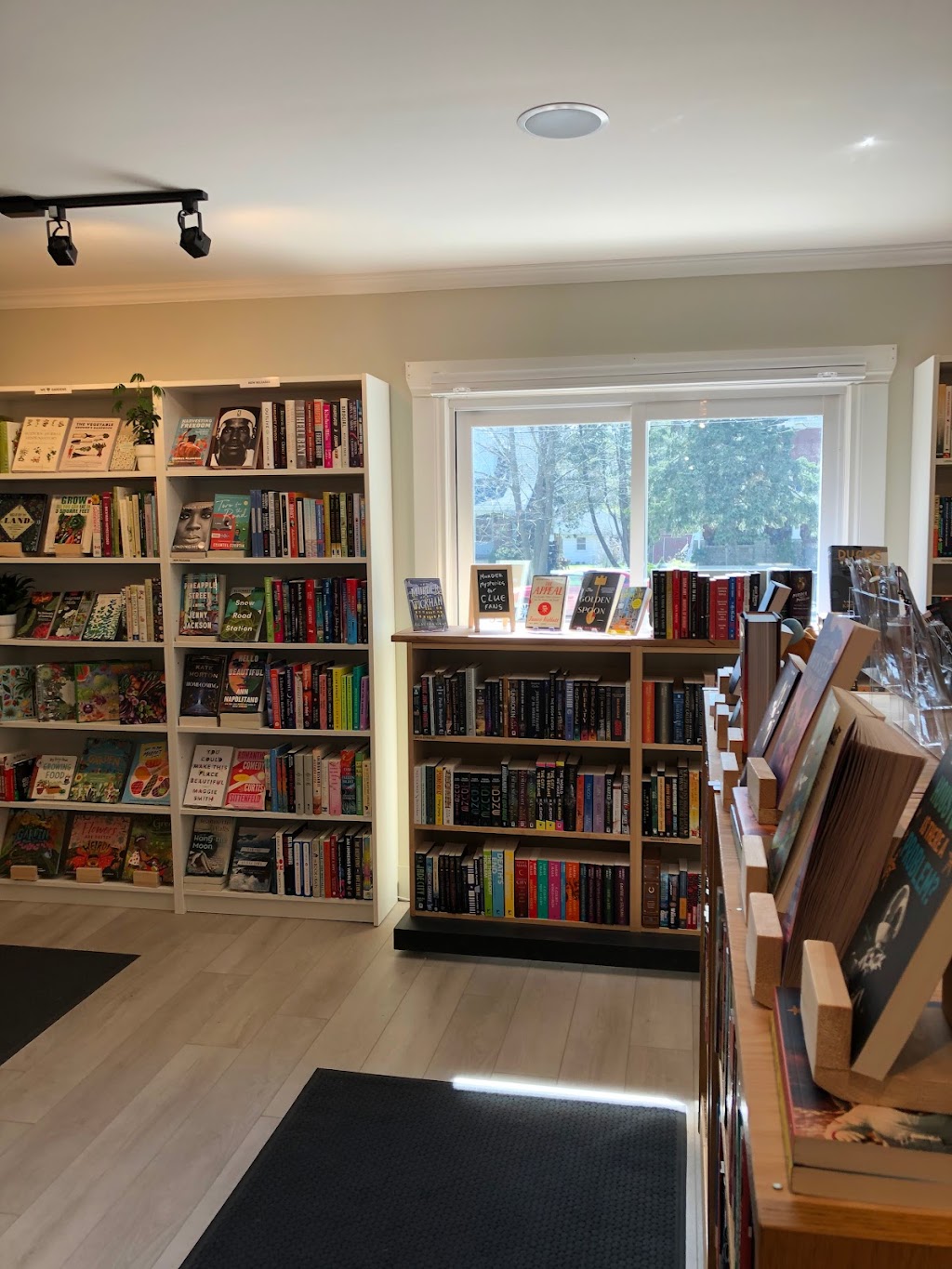 Beach Reads Bookshop | 230 St George St, Port Dover, ON N0A 1N0, Canada | Phone: (519) 583-1787