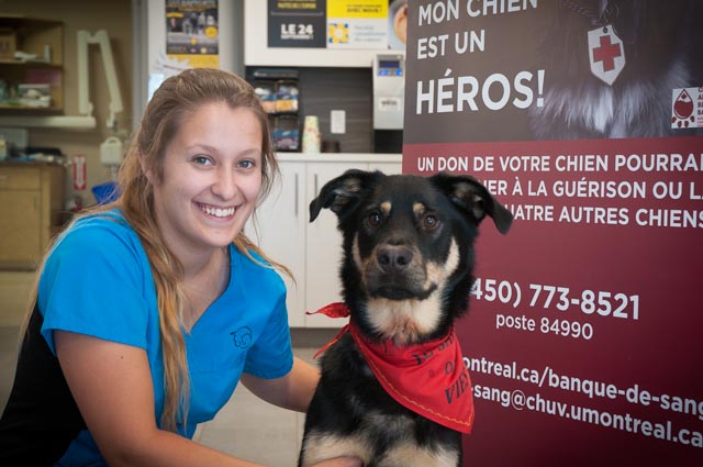 Veterinary Hospital Caouette and Rochon GP | 3630 Rue Saint-Pierre, Drummondville, QC J2B 6V2, Canada | Phone: (819) 395-4395