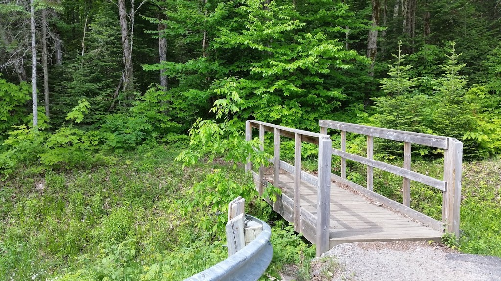 Stubbs Falls Trail | Unnamed Road, Huntsville, ON P1H 2J4, Canada | Phone: (705) 789-5105