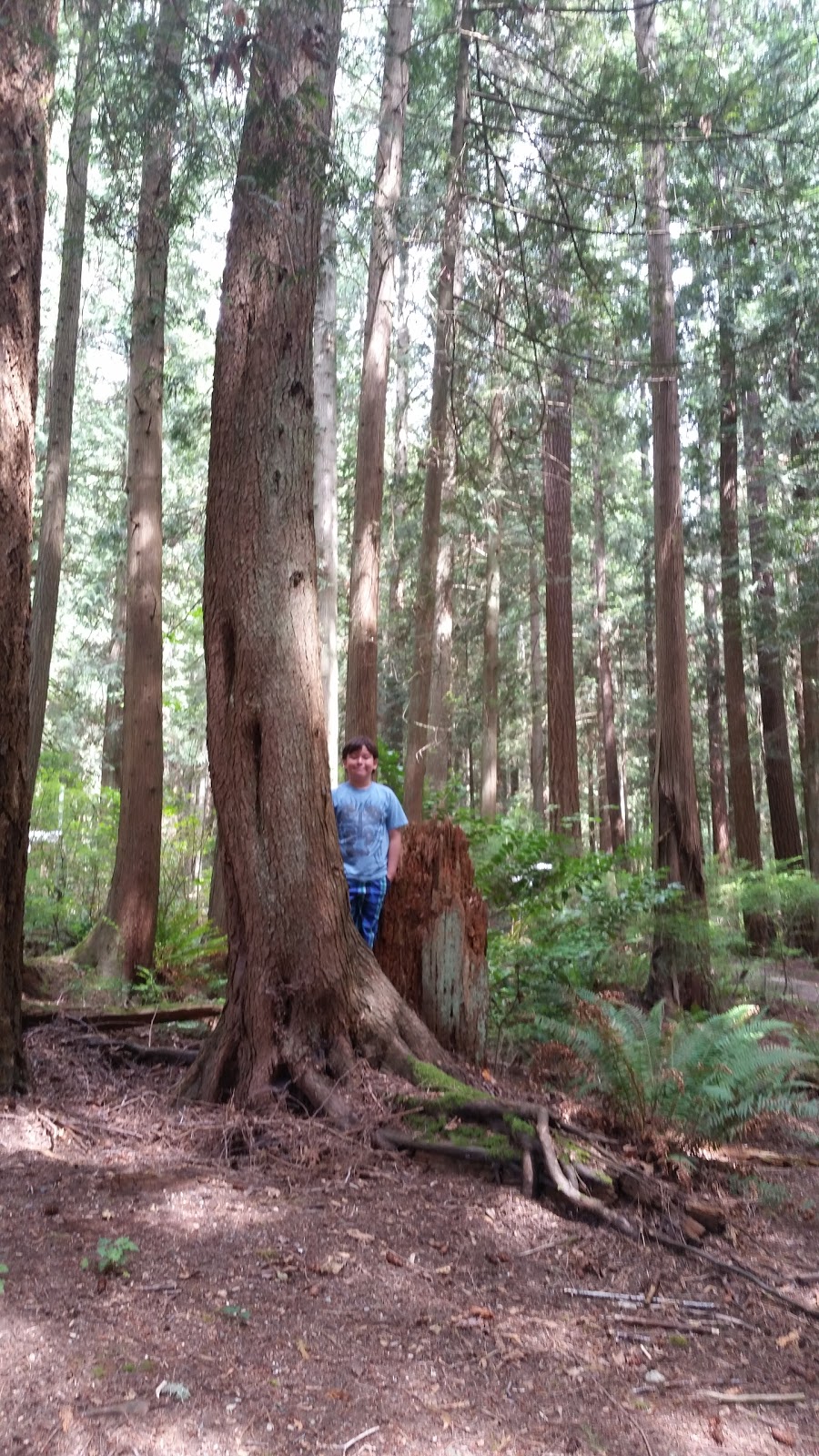 Roberts Creek Provincial Park | Roberts Creek, BC V0N 2W0, Canada | Phone: (604) 885-3714