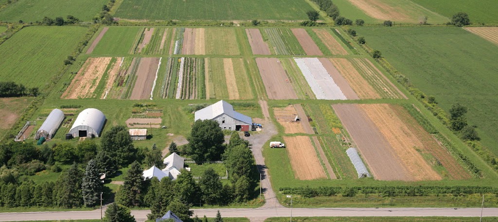 Ferme Coopérative Tourne-Sol / Tourne-Sol Co-operative Farm | 1035 Chem. Saint-Dominique, Les Cèdres, QC J7T 1P5, Canada | Phone: (450) 452-4271