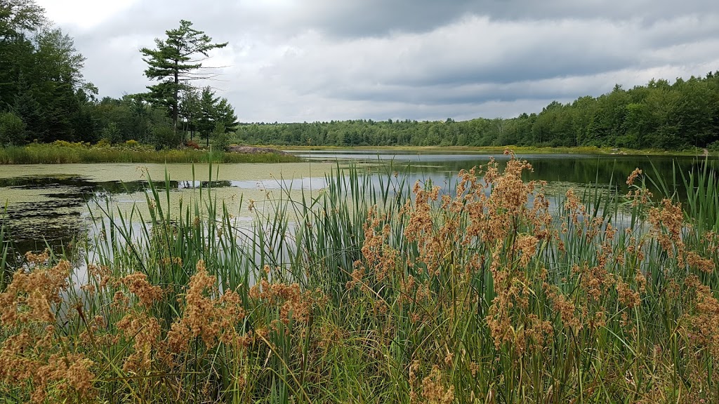 Sentier Nature du Lac Jérôme | Saint-Jérôme, QC J7Z 1S9, Canada