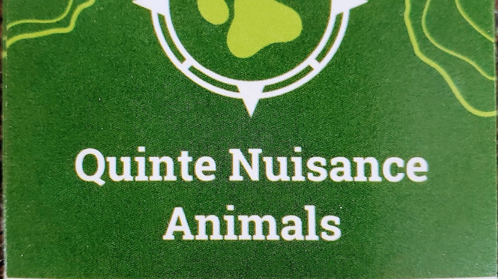 Quinte Nuisance Animals | 17282 Ontario County Hwy 2, Quinte West, ON K8V 5P7, Canada | Phone: (613) 243-5766