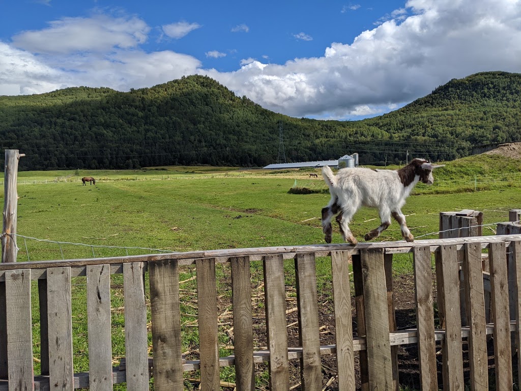 Ferme Marie-Noëlle Beaulieu | 674 Chemin St Laurent, Baie-Saint-Paul, QC G3Z 2L7, Canada | Phone: (418) 435-8931