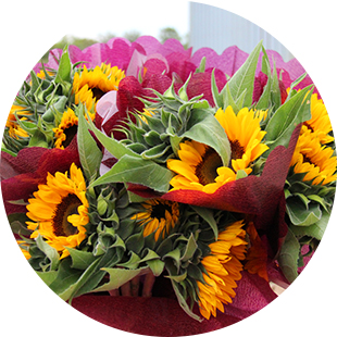 Flamborough Flowers LTD | 906 6th Concession West, Millgrove, ON L8B 1M9, Canada | Phone: (289) 439-3084