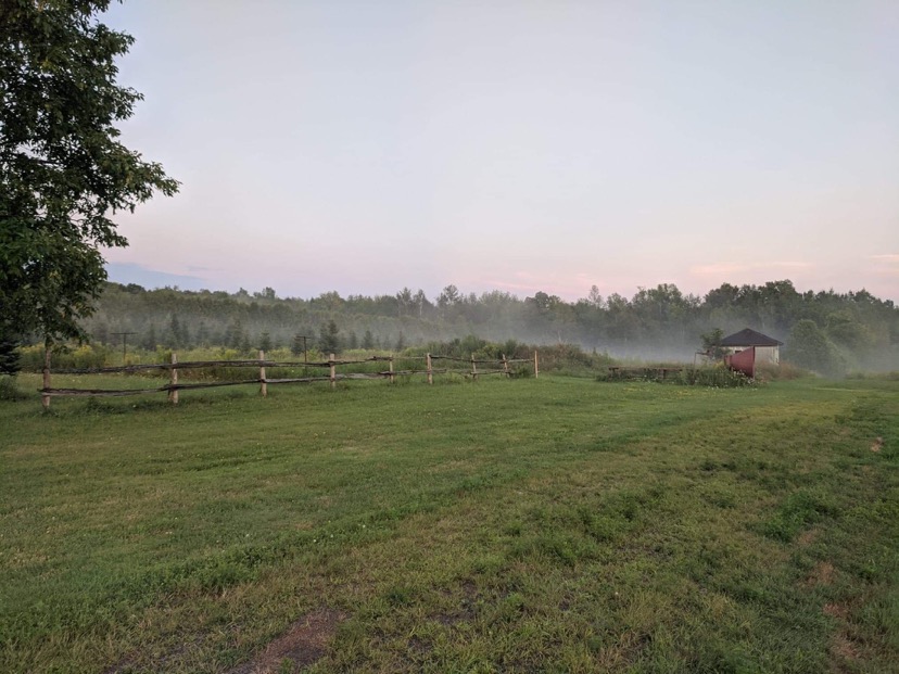 Whispering Willow Christmas Tree Farm | 7113 Brown Rd, Brockville, ON K6V 5T2, Canada | Phone: (613) 620-3909