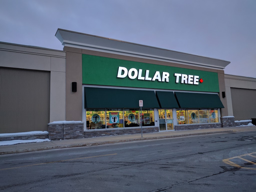Dollar Tree | 32 Depot Drive Units 1 & 2, Bracebridge, ON P1L 0A1, Canada | Phone: (705) 645-9148