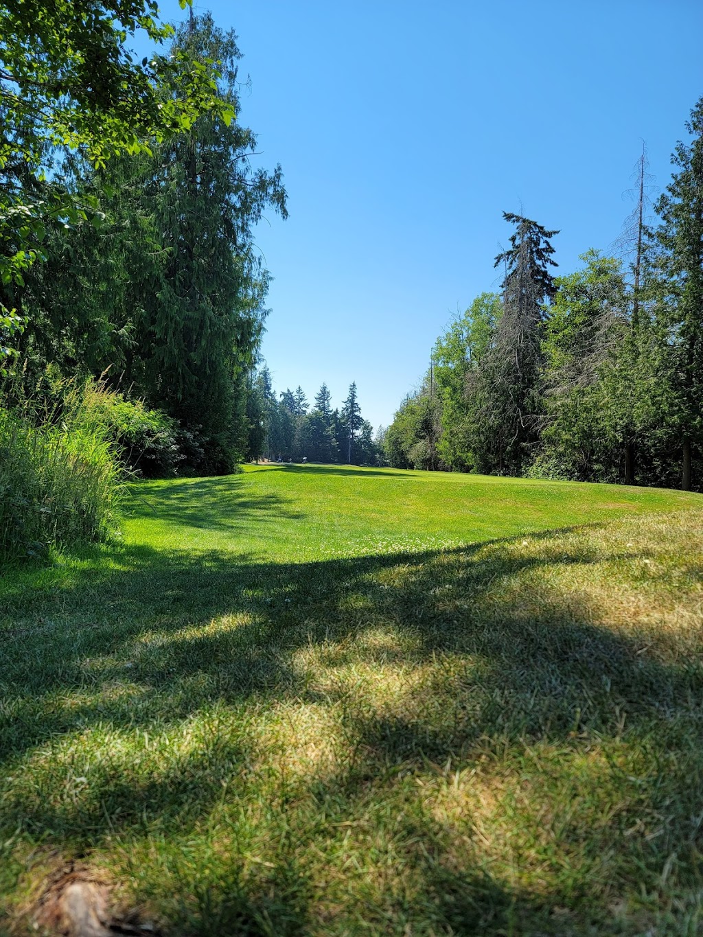 Morningstar Golf Club | 525 Lowrys Rd, Parksville, BC V9P 2R8, Canada | Phone: (250) 248-2244