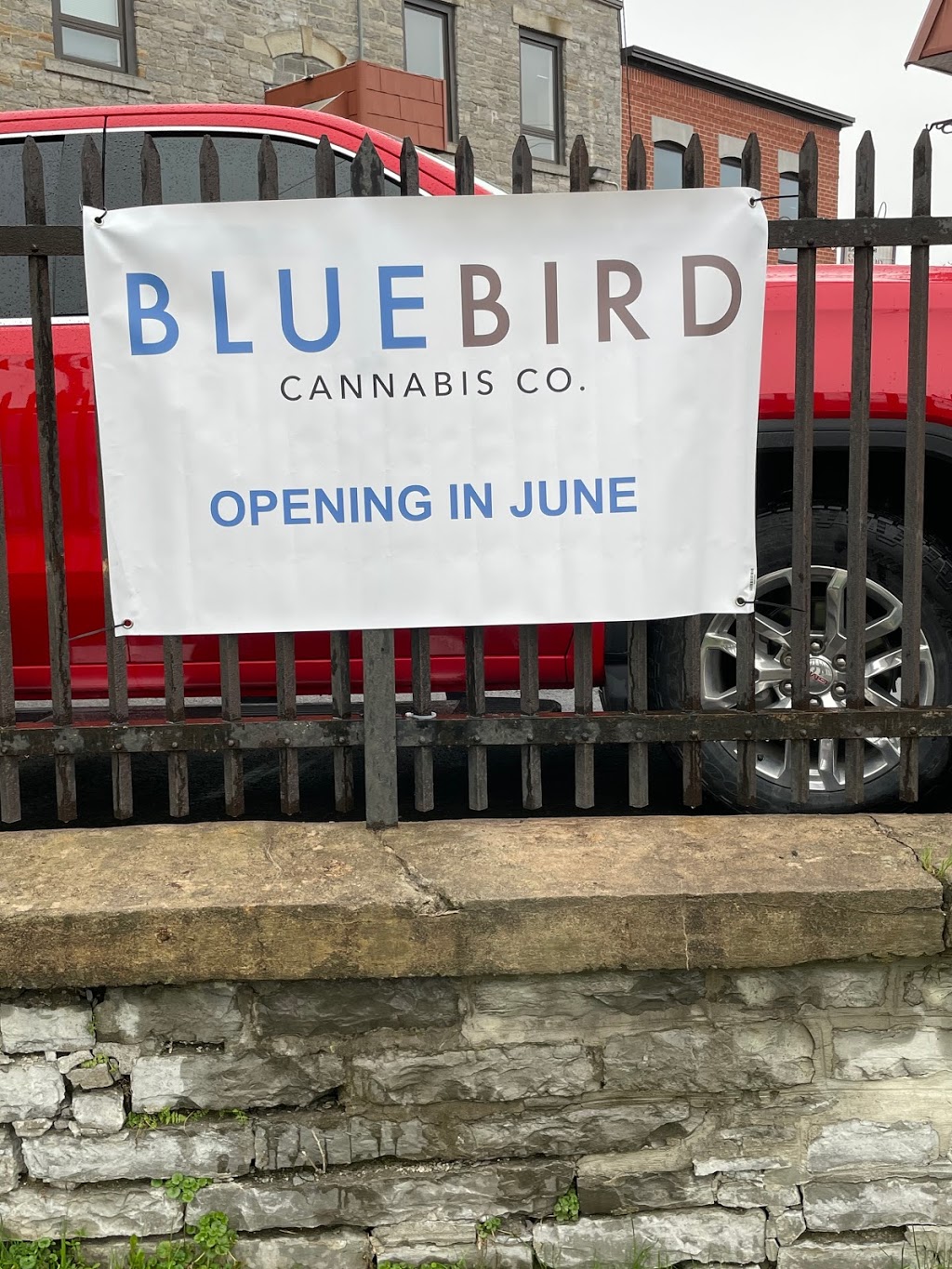 BlueBird Cannabis Co. Almonte | 14 Mill St, Almonte, ON K0A 1A0, Canada | Phone: (613) 672-2233