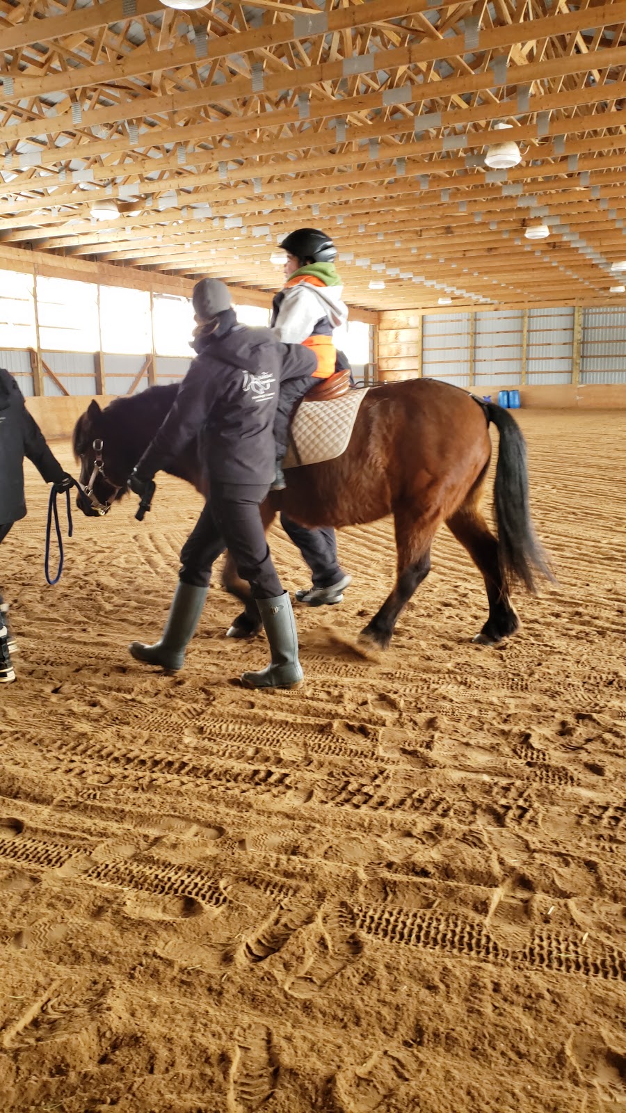 KickStart Equestrian | 8284 Indian Trail, Guelph/Eramosa, ON N0B 2K0, Canada | Phone: (226) 343-3081