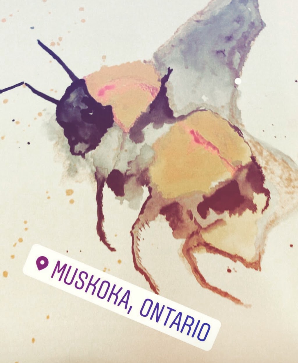 Muskoka Bees And Trees Cafe | Victoria St W, Rosseau, ON P0C 1J0, Canada | Phone: (249) 222-0537