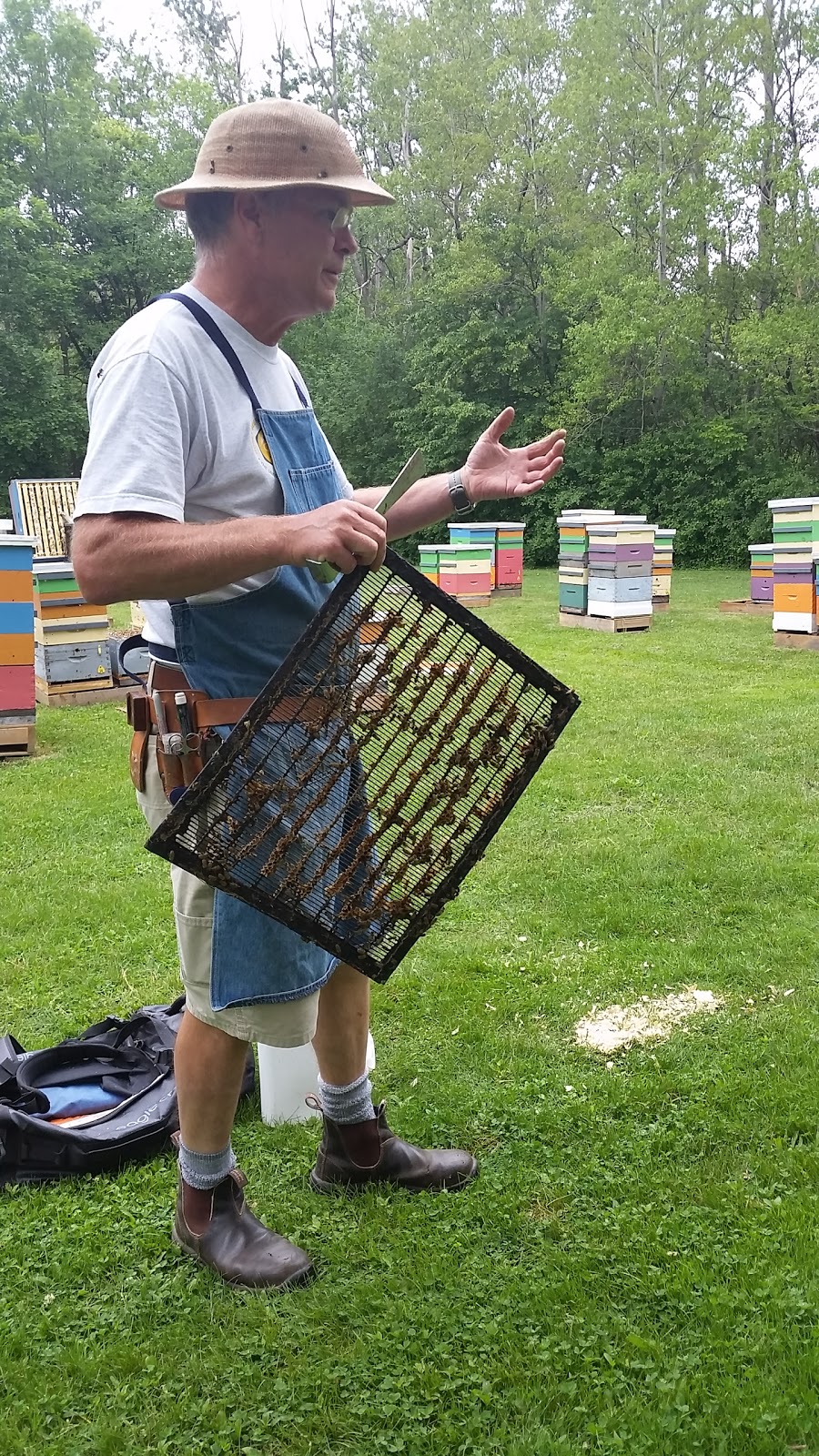 University Of Guelph Beekeeping Lab | 308 Stone Rd E, Guelph, ON N1G 2W1, Canada | Phone: (519) 836-8897