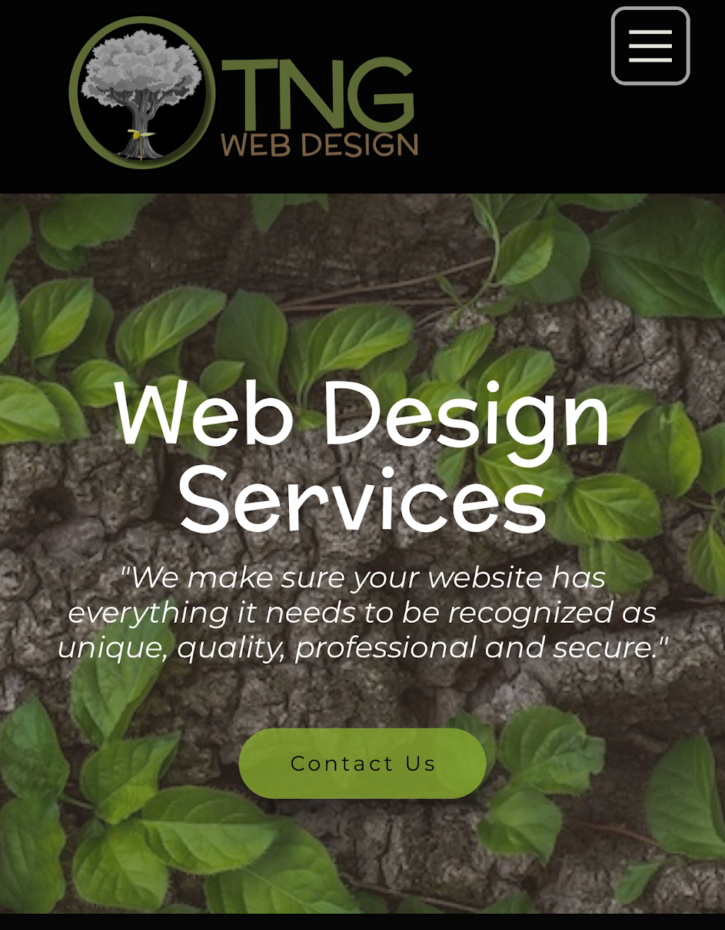 TNG Web Design | 23 Heritage Ct, Barrie, ON L4N 0E7, Canada | Phone: (705) 229-4536