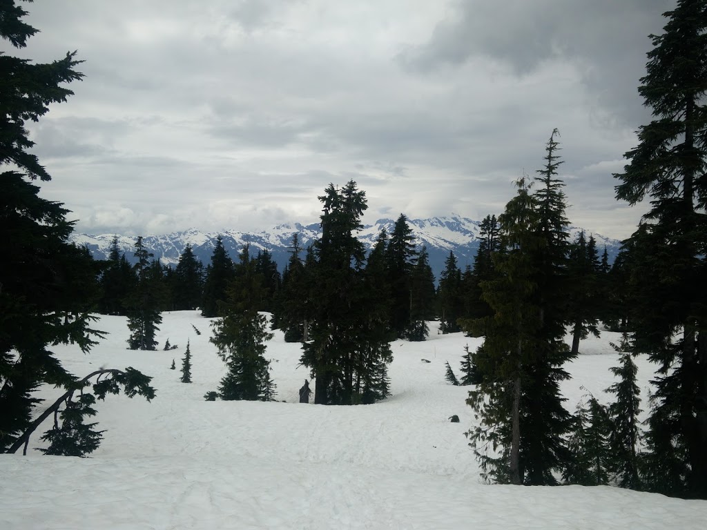 Elfin Lake Trailhead | Diamond Head Trail, Whistler, BC V0N 0A0, Canada | Phone: (800) 689-9025