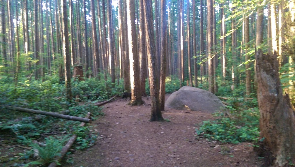 Northeast Woods | Colby Rd, Comox, BC V9M 4H8, Canada | Phone: (250) 339-2421