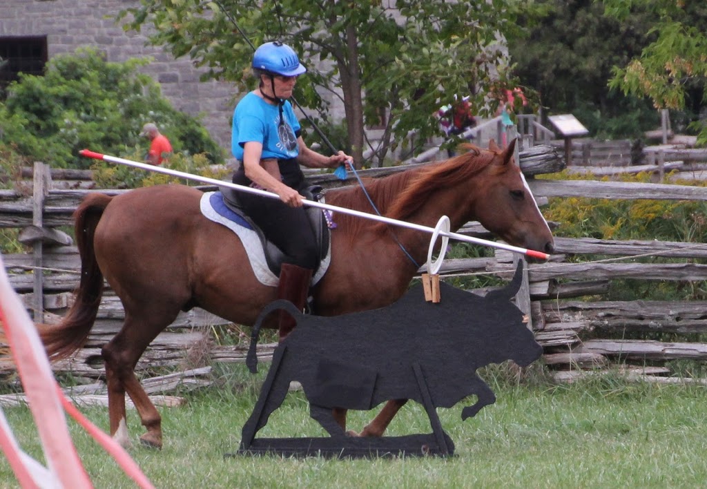 Punkin Patch Farm | 338 Chemin du Petit-Brûlé, Rigaud, QC J0P 1P0, Canada | Phone: (450) 451-1158