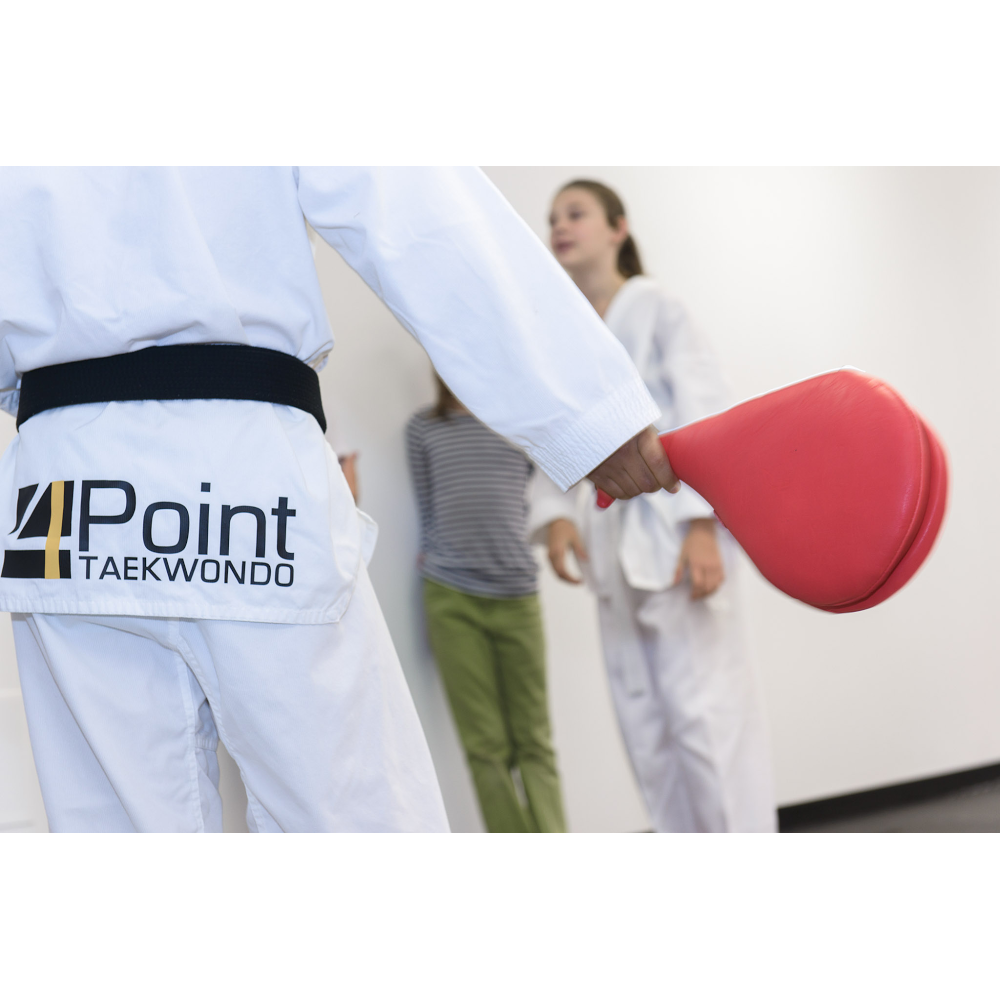 4Point Taekwondo | 1069 Knottwood Rd E Northwest, Edmonton, AB T6K 3N5, Canada | Phone: (780) 850-6685