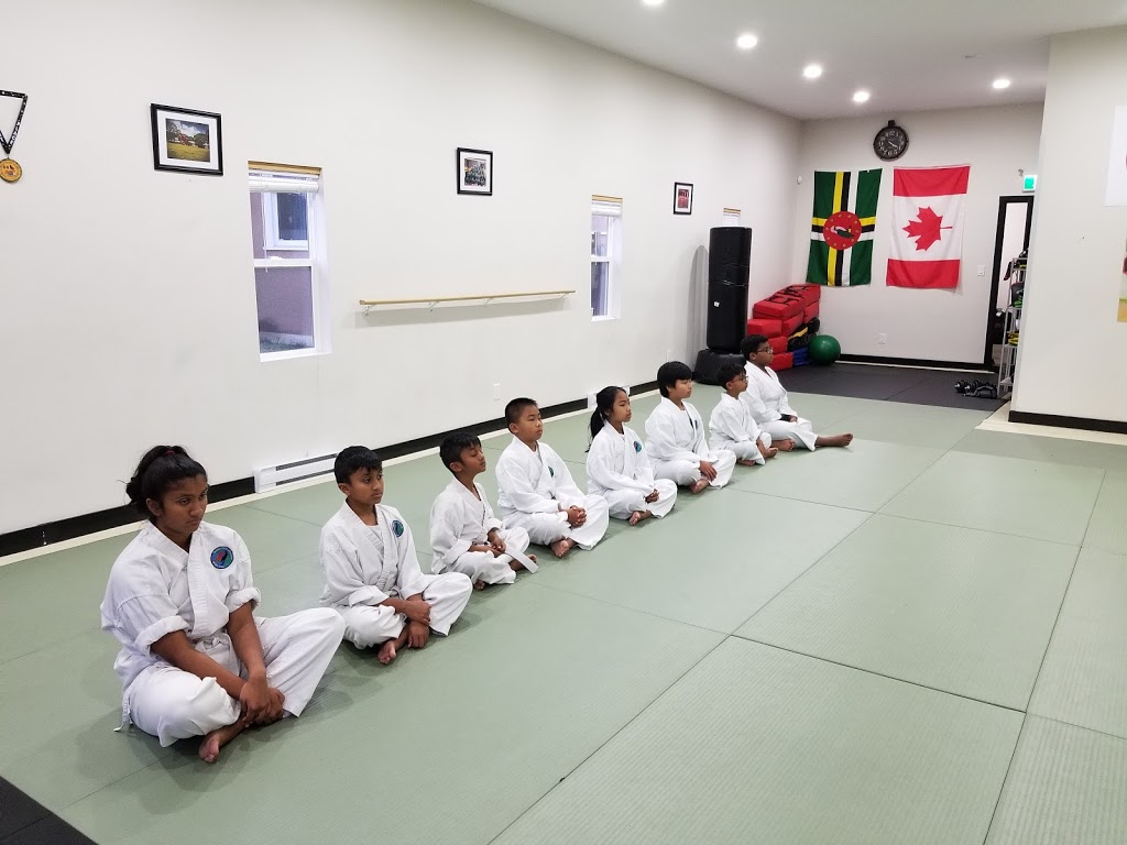 Robin Ryu Jiu Jitsu | 7709 6th St, Burnaby, BC V3N 3M9, Canada | Phone: (236) 982-7798