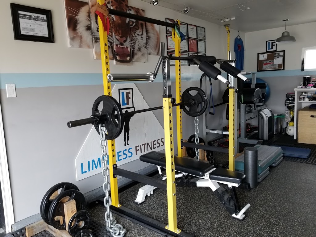 Limitless Fitness | 18 Myrtle Ave, St. Catharines, ON L2M 5W1, Canada | Phone: (289) 783-1347