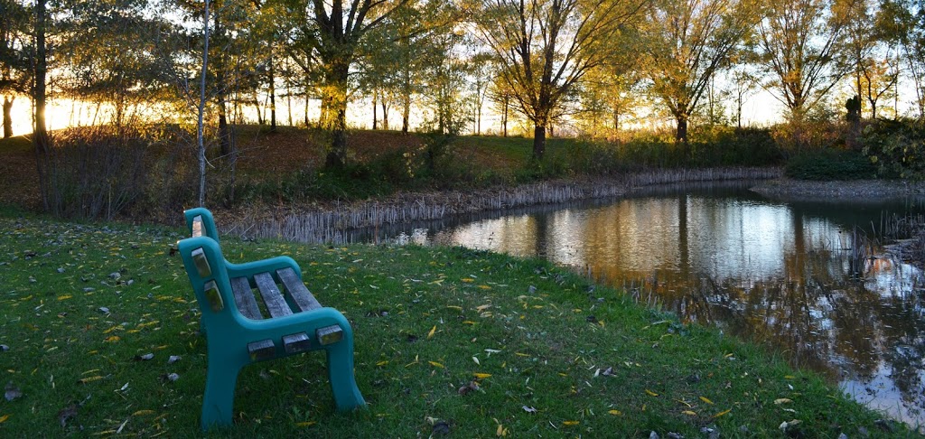 The Stable Grounds - Therapy for PTSD | 22678 Johnston Line, Rodney, ON N0L 2C0, Canada | Phone: (905) 717-5921