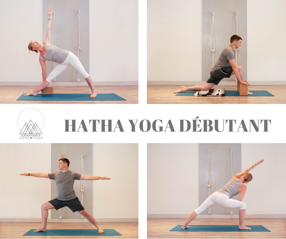 Vidya Yoga | 233 Bd Sainte-Rose #350, Laval, QC H7L 1L7, Canada | Phone: (514) 604-2862