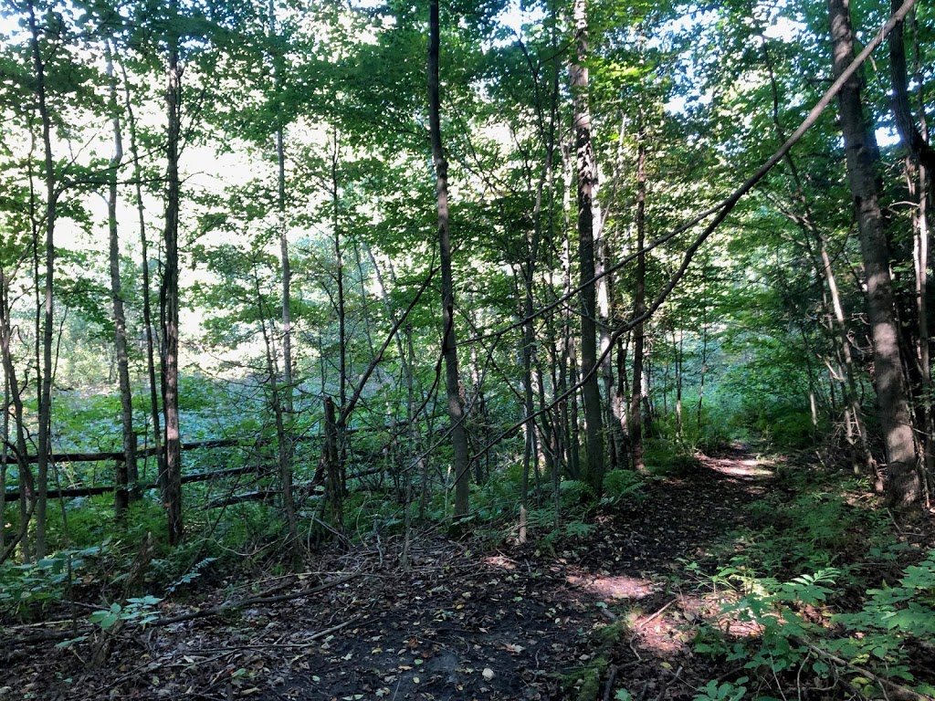 Cawthra Mulock Nature Reserve | Bathurst St, King, ON L3Y 4V9, Canada | Phone: (800) 440-2366