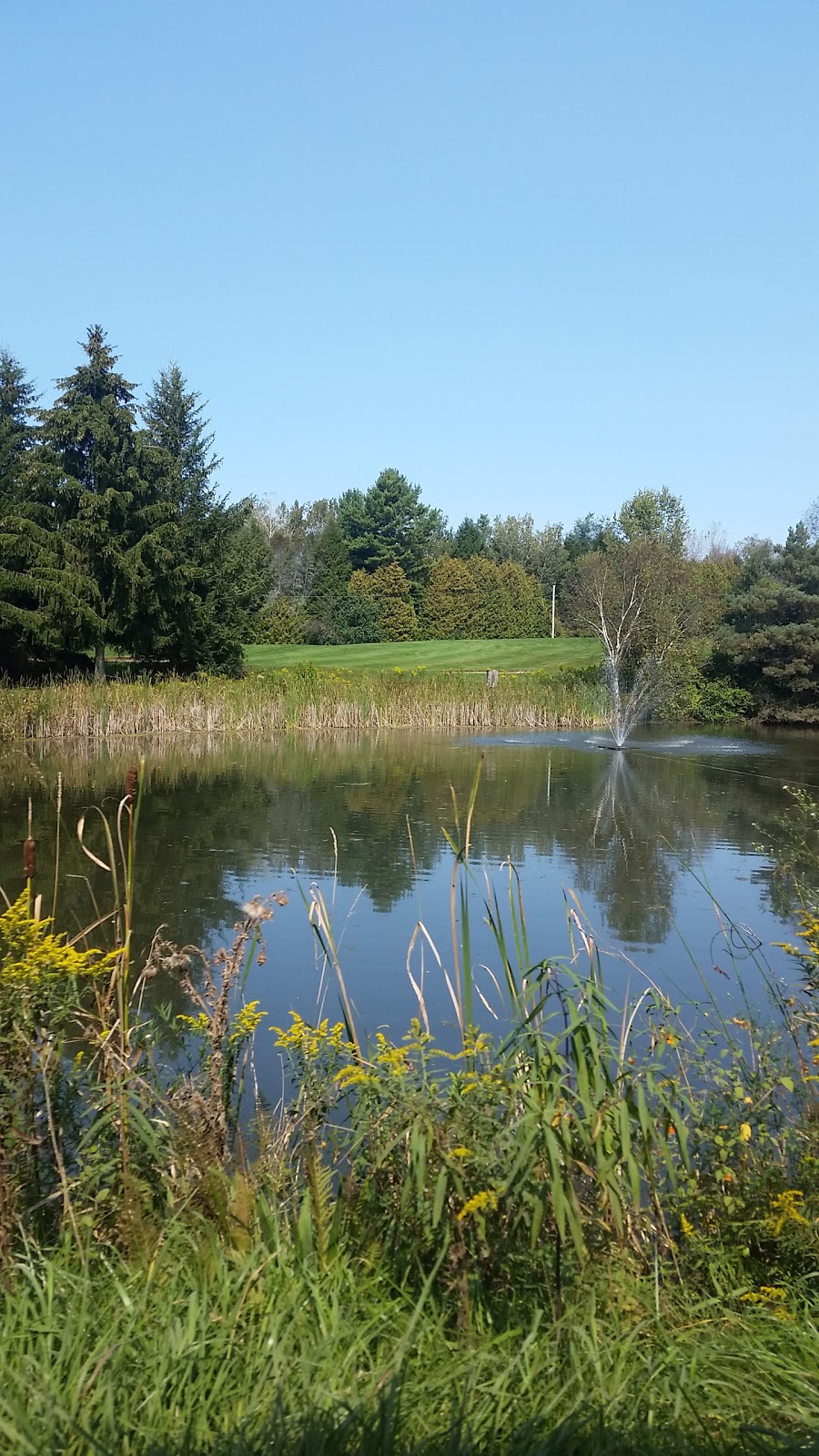 Newcastle Golf and Country Club | 2429 Golf Course Rd, Newcastle, ON L1B 1L9, Canada | Phone: (905) 987-4851