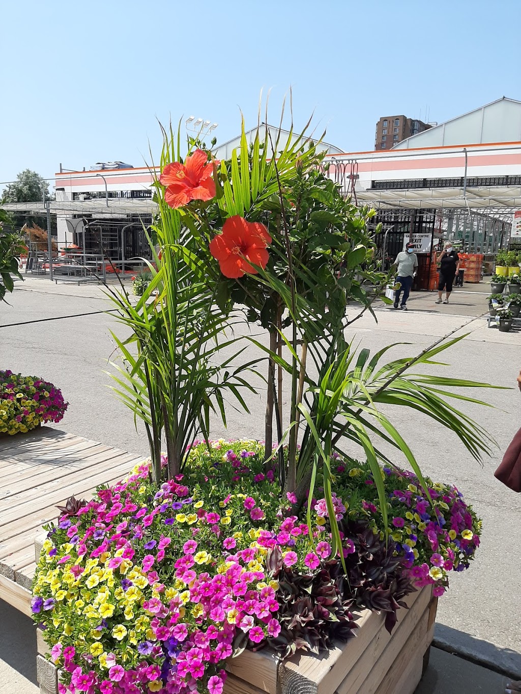 Garden Centre at The Home Depot | 2911 Eglinton Ave E, Scarborough, ON M1J 2E5, Canada | Phone: (416) 289-2500